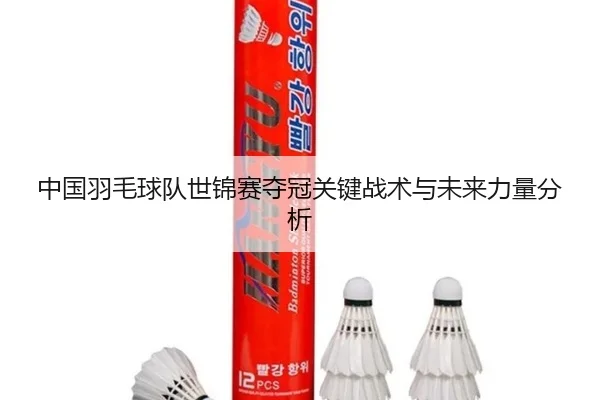 中国羽毛球队世锦赛夺冠关键战术与未来力量分析